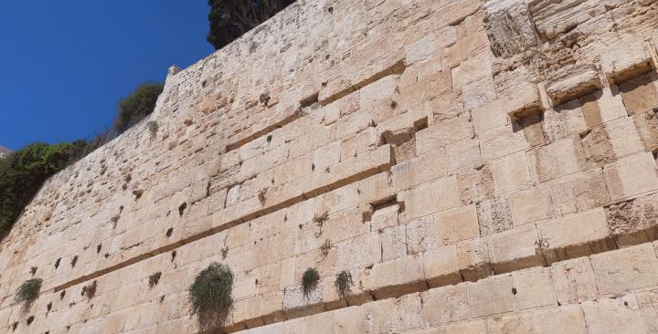 CHANA TOVA AIDEZ UNE FAMILLE NOMBREUSE EN DIFFICULTES